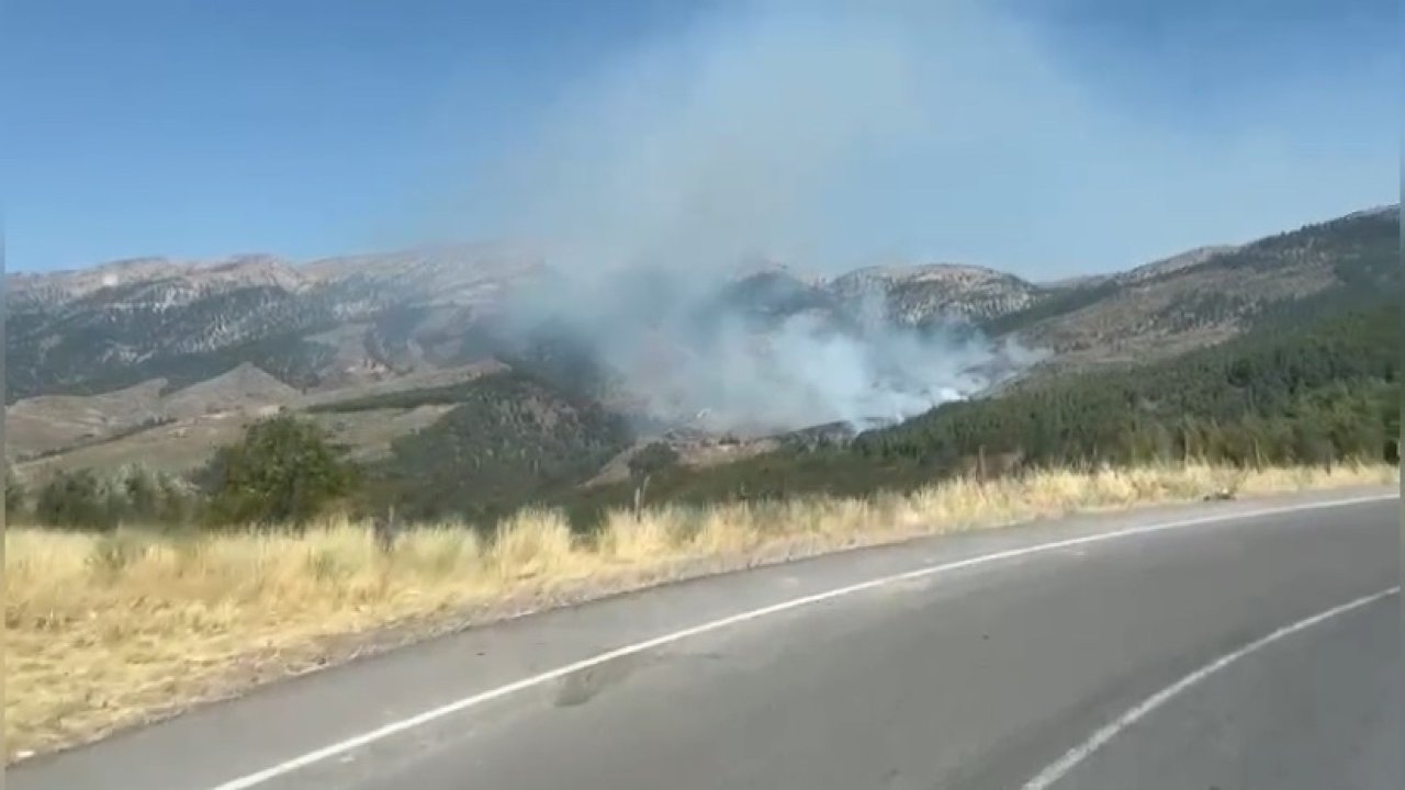 Kahramanmaraş’ta orman yangını çıktı!