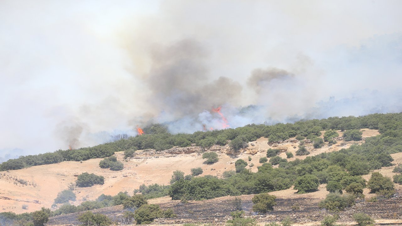 Kahramanmaraş'ta anız yangını makilik alanı yaktı!