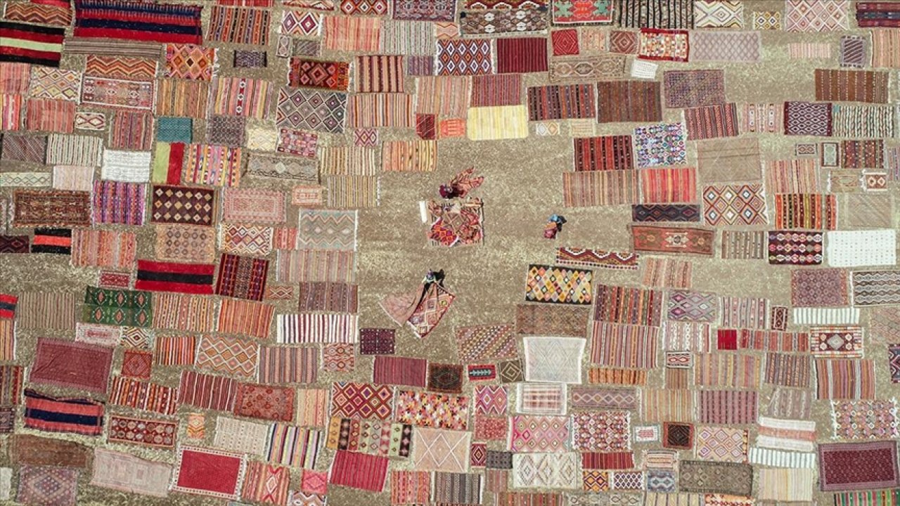 Halı tarlaları kadınların ekmek kapısı oldu!