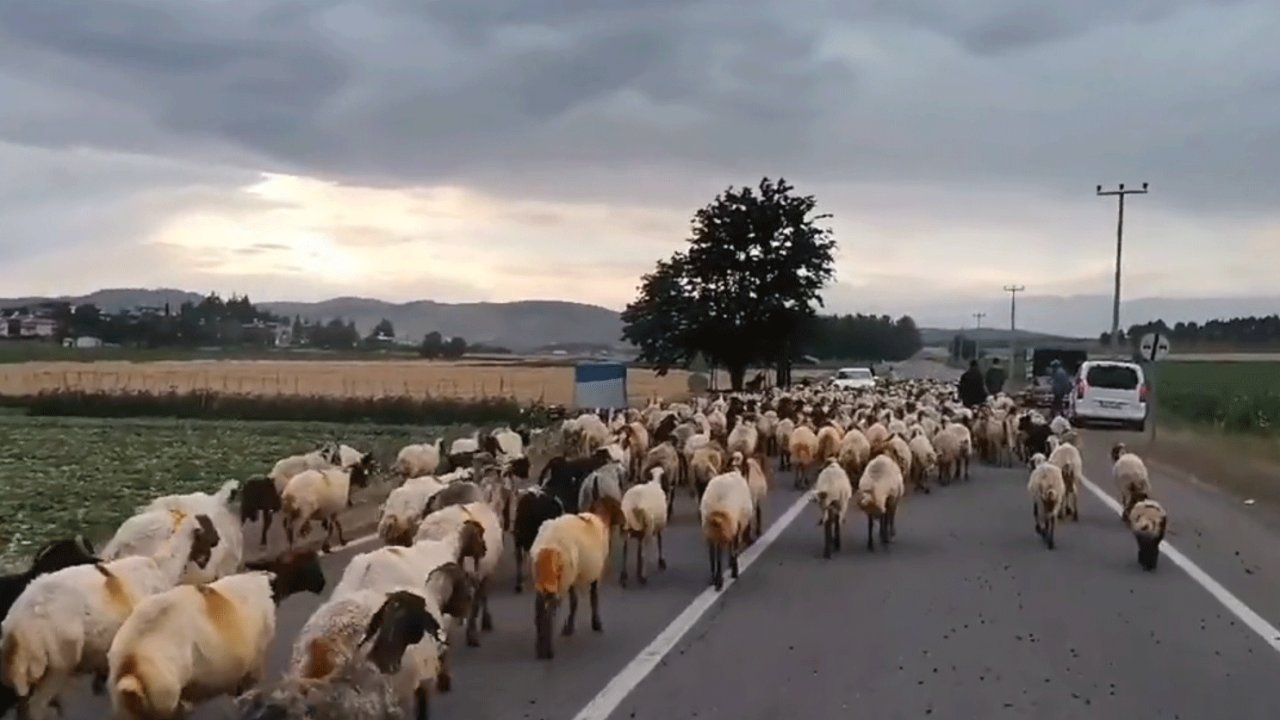 Kahramanmaraş'ın Huzur Köşesi Köyü'nde Akşam büyüsü!