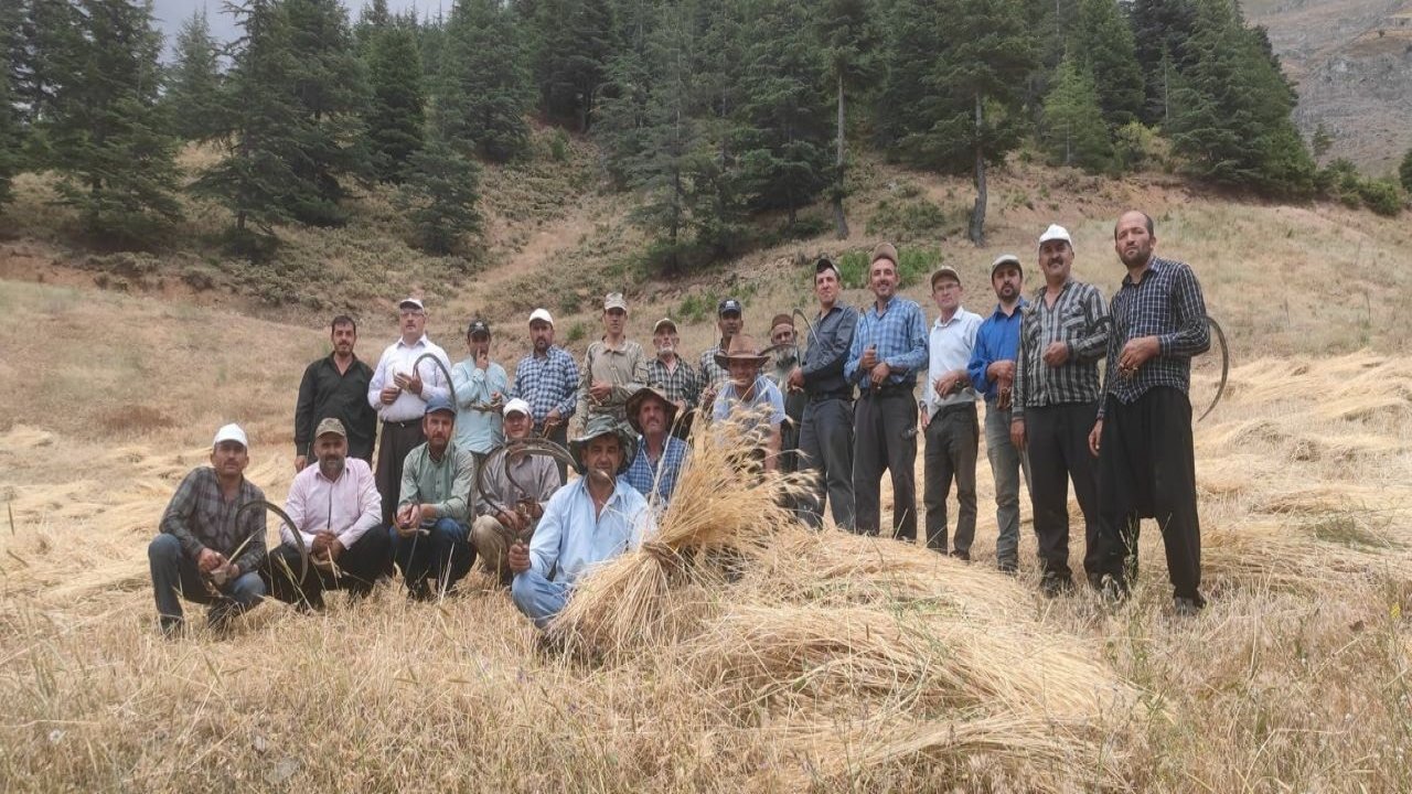Bin yıllık hasat geleneğini Kahramanmaraş kırsalında yaşatıyorlar!