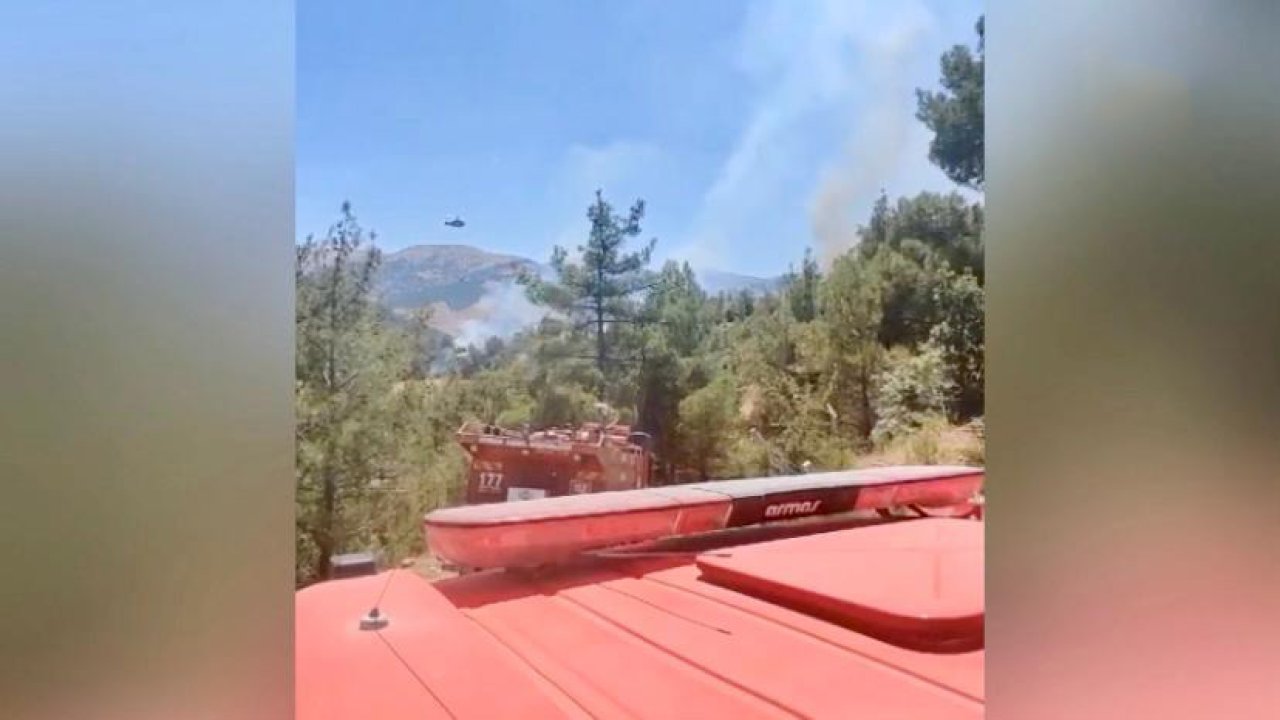 Kahramanmaraş’ta orman yangını!