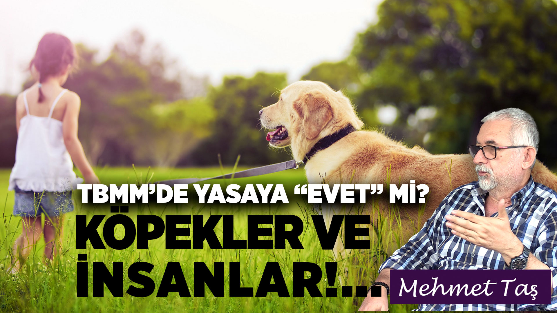 Köpekler ve insanlar!... TBMM'de yasaya evet mi? Hayır mı?
