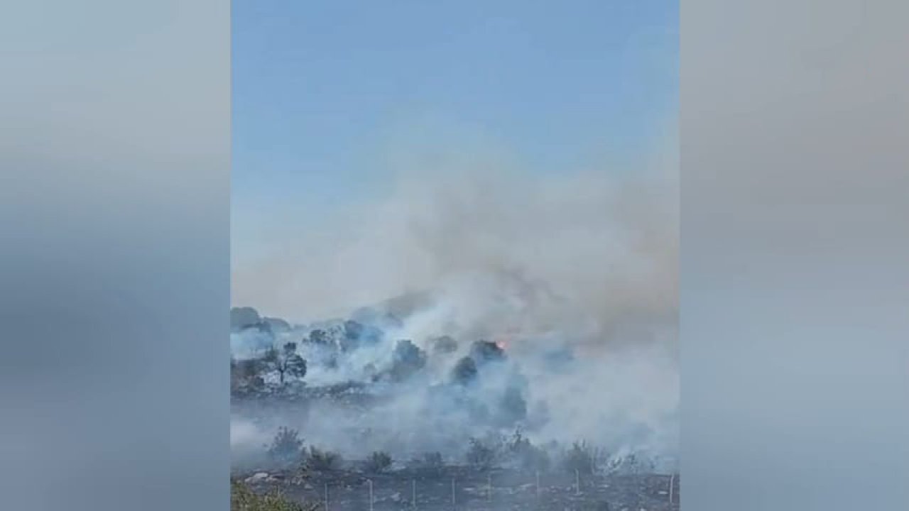 Kahramanmaraş Pazarcık’ta orman yangını!