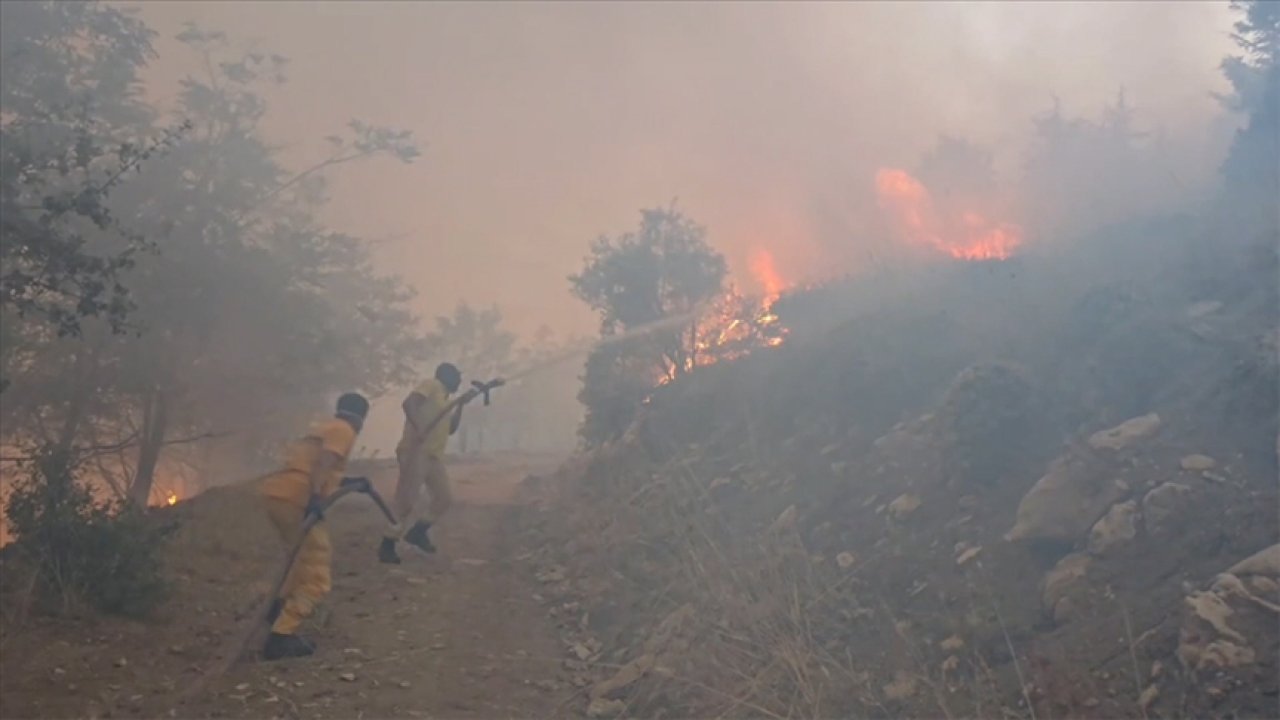 Kahramanmaraş’taki orman yangını kontrol altına alındı!