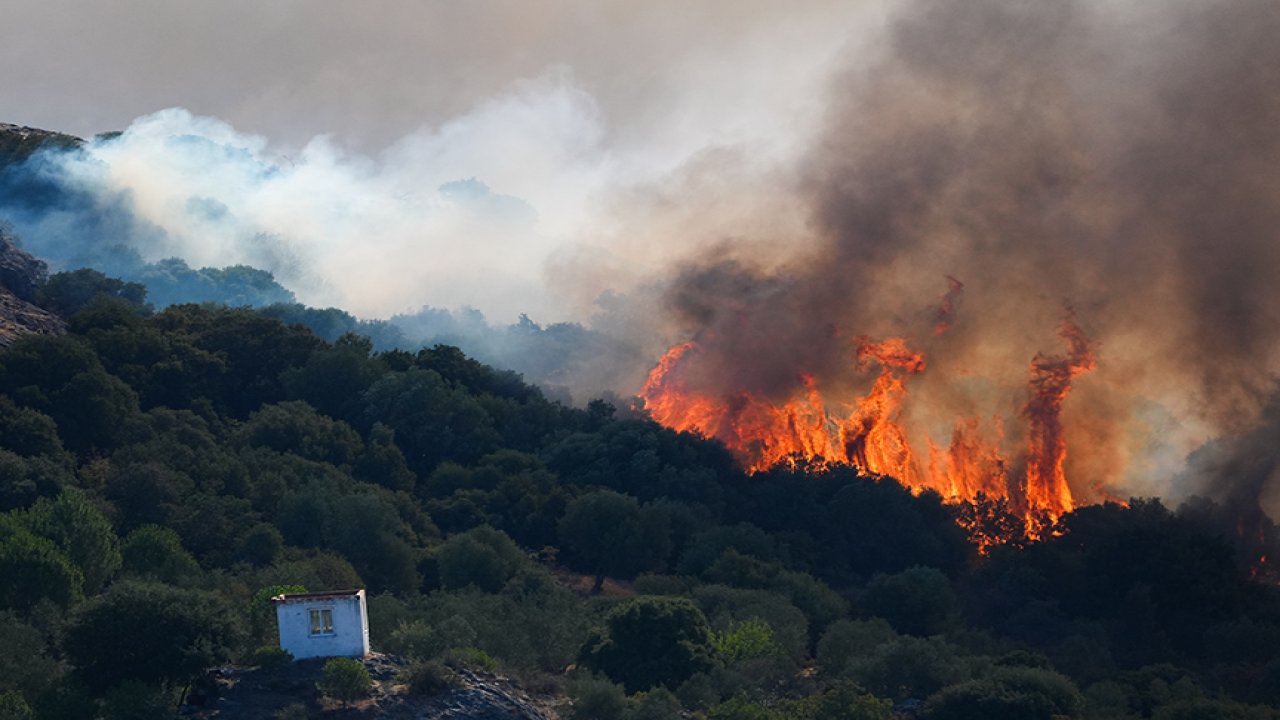 İzmir ve Manisa'da orman yangını!