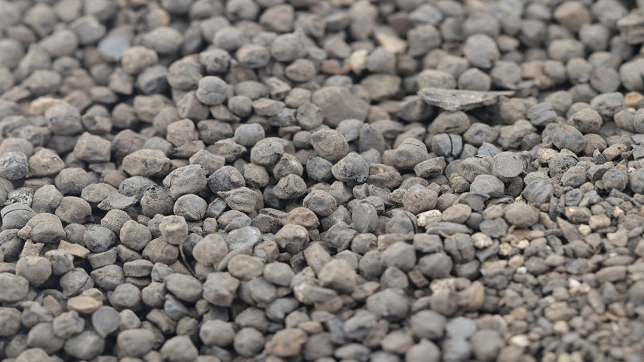 Kahramanmaraş’ta binlerce yıl öncesine ait nohut, buğday, üzüm ve sarımsak taneleri bulundu!