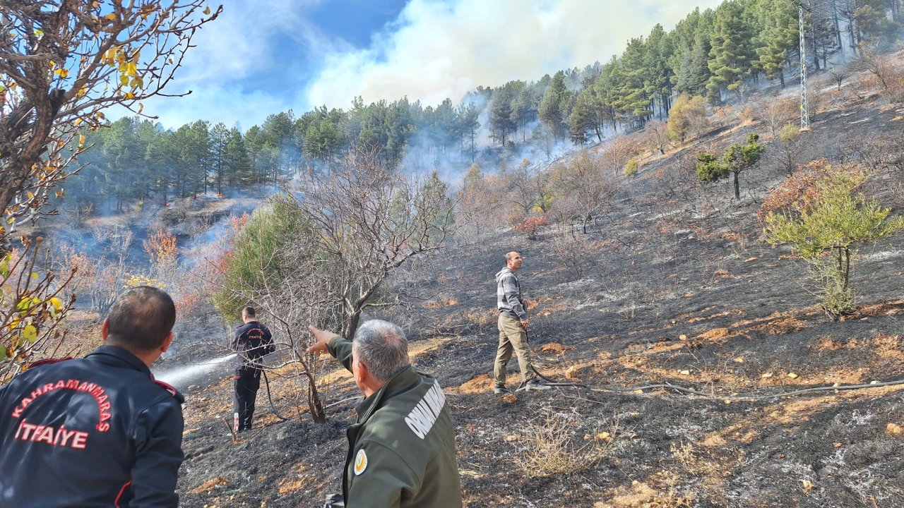 Kahramanmaraş’taki orman yangını kontrol altına alındı!