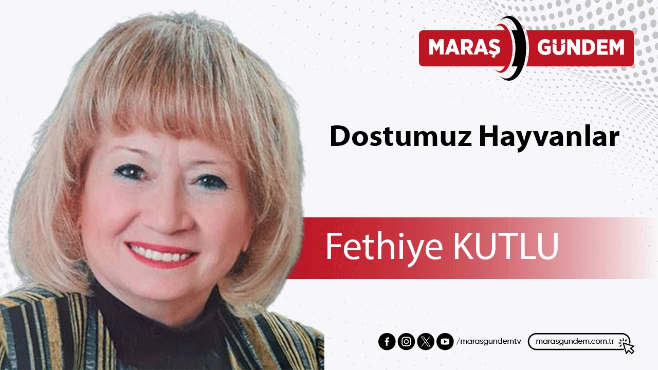 Dostumuz Hayvanlar