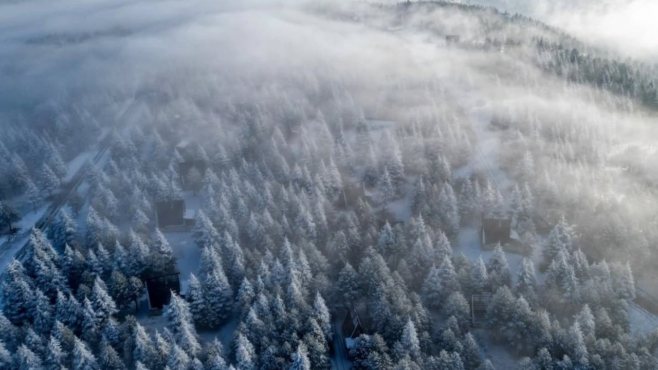 Kahramanmaraş'ta Kış Masalı! Beyaz gelinlik giyen Yalnız Ardıç büyüledi