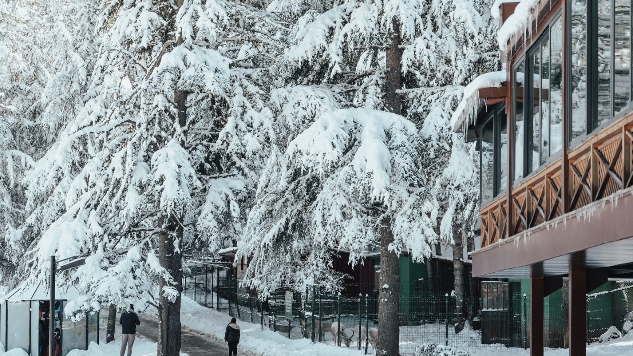 Karlar Altında Başkonuş Yaylası: Doğayla İç İçe Unutulmaz Bir Kış Kaçamağı!