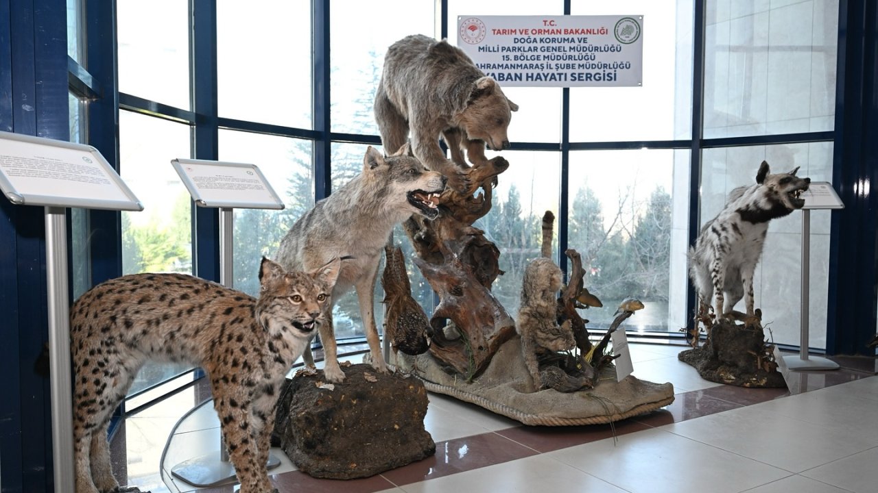 Kahramanmaraş’ta Tahnit Sergisi açıldı!