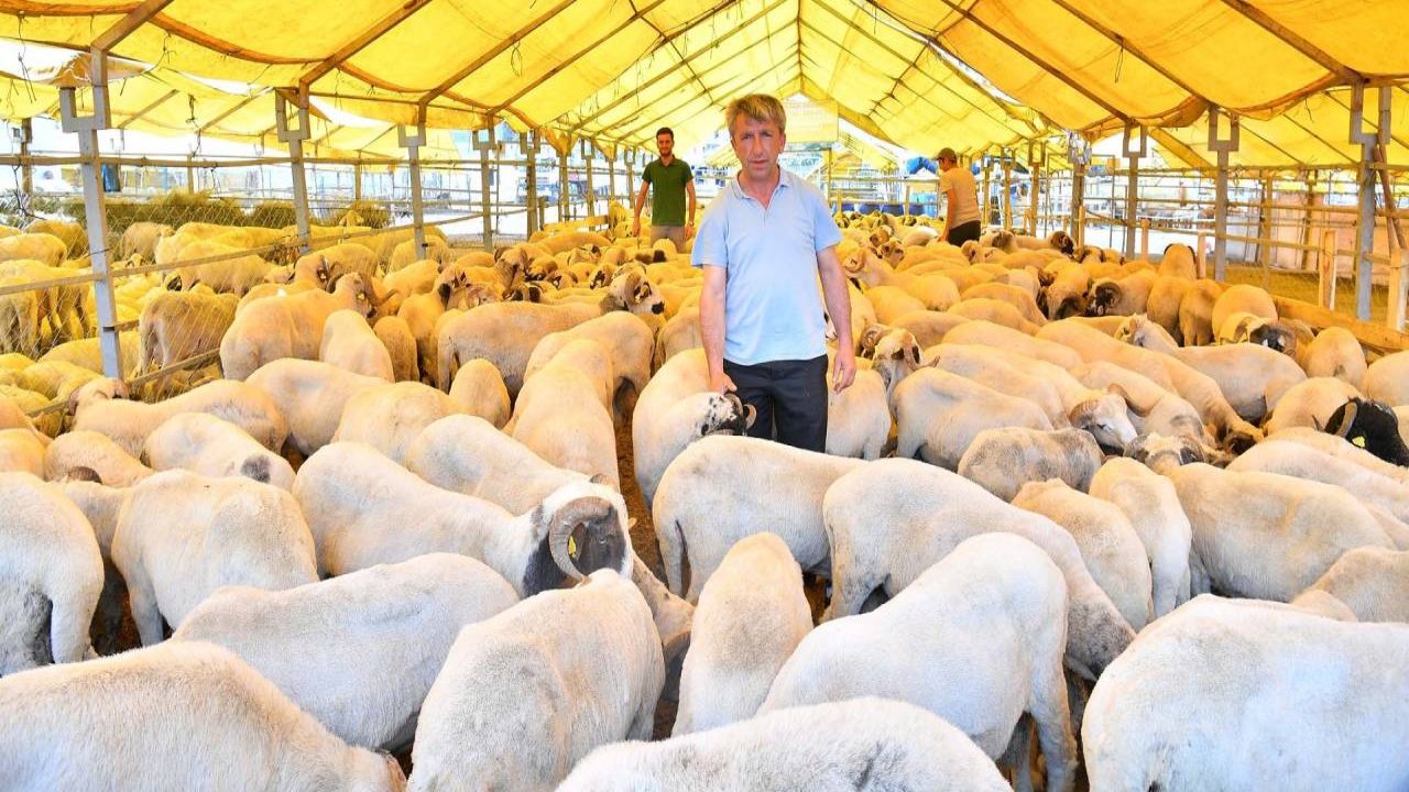 Dulkadiroğlu Belediyesi Kurban satış yerini açıkladı!