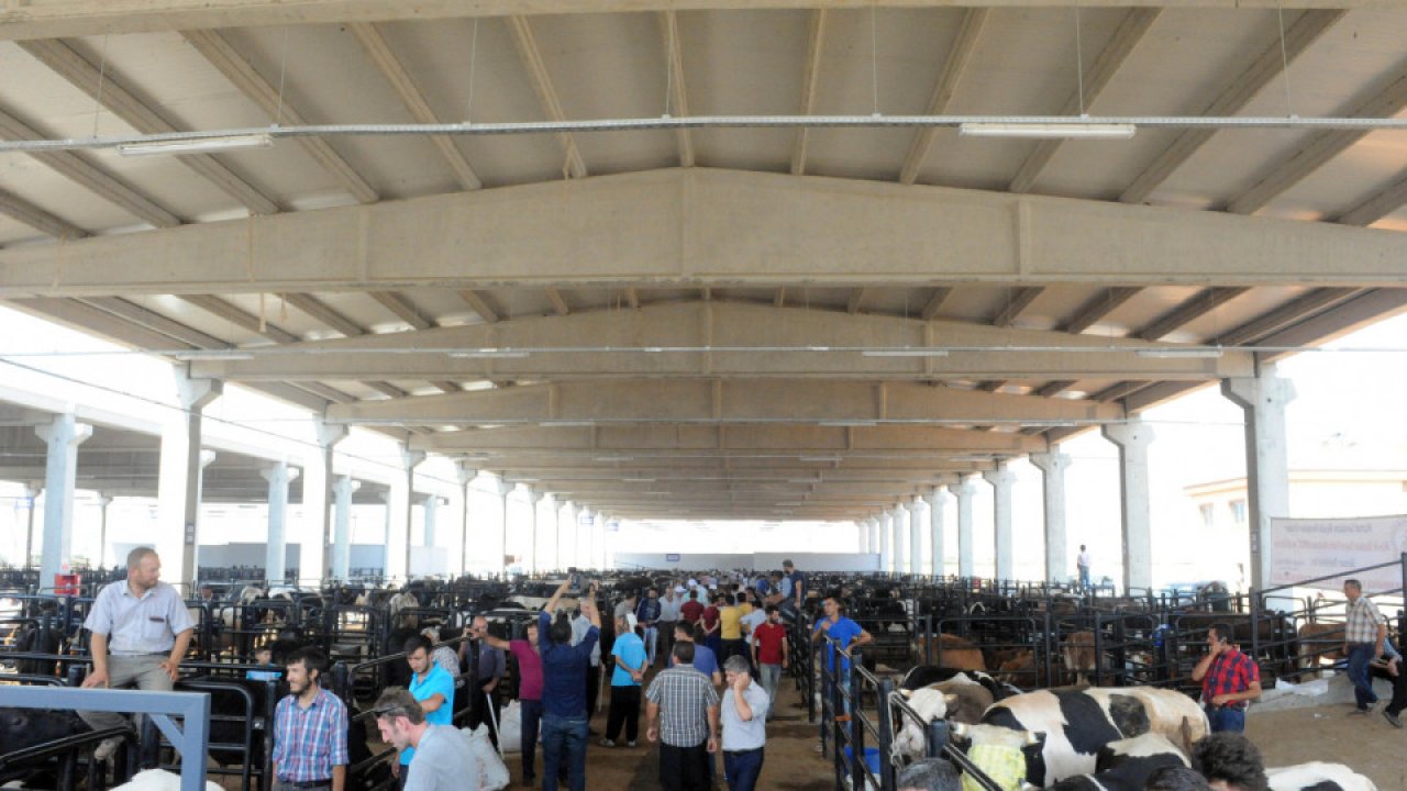 Kahramanmaraş’ta Kurbanlık için özel seferler başladı!