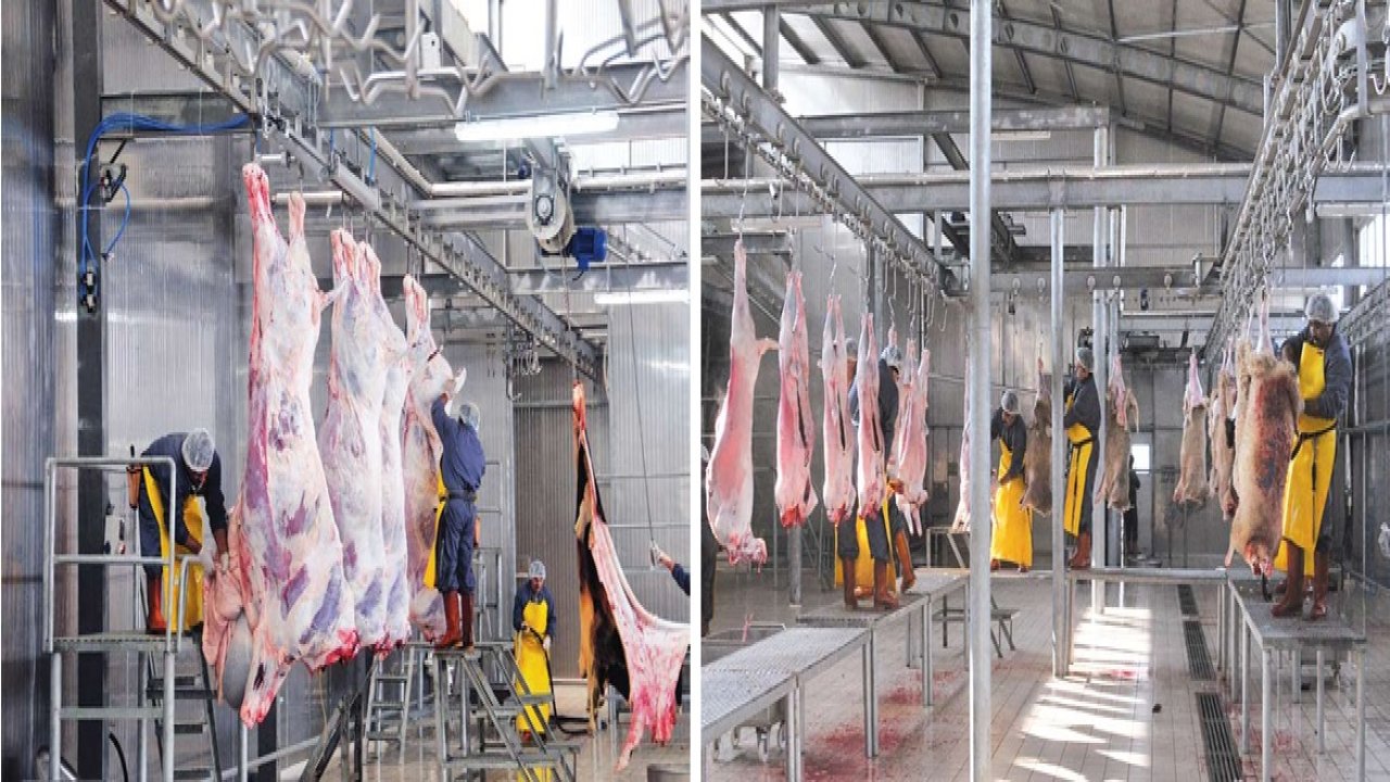 Onikişubat Belediyesi’nden kurbanlık satış ve kesim yerleri açıklaması