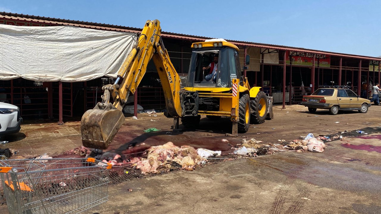Kahramanmaraş Hayvansal Atıklardan Temizliyor!