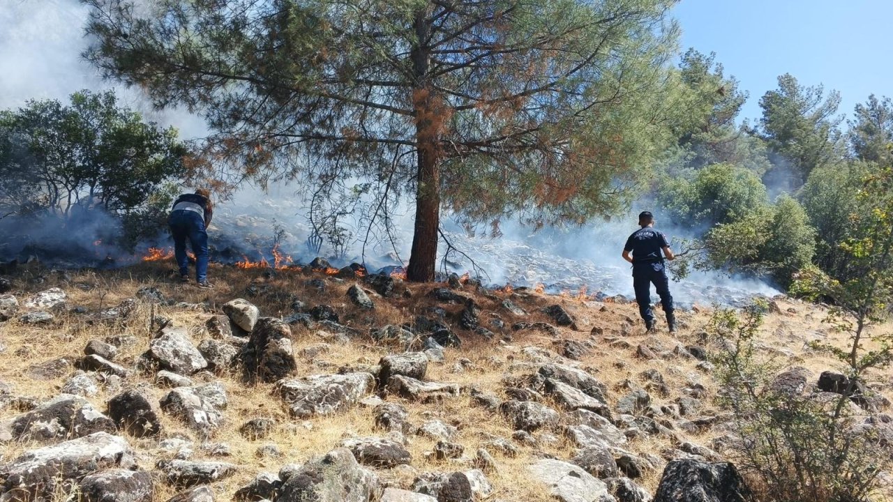 Kahramanmaraş’ta piknik yapmak istediler ormanı yaktılar!