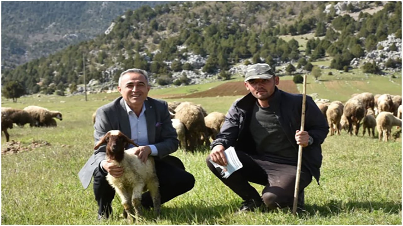 DEVA Partili Karatutlu: “Deprem Bölgesinde Hayvancılık Alarm Veriyor”