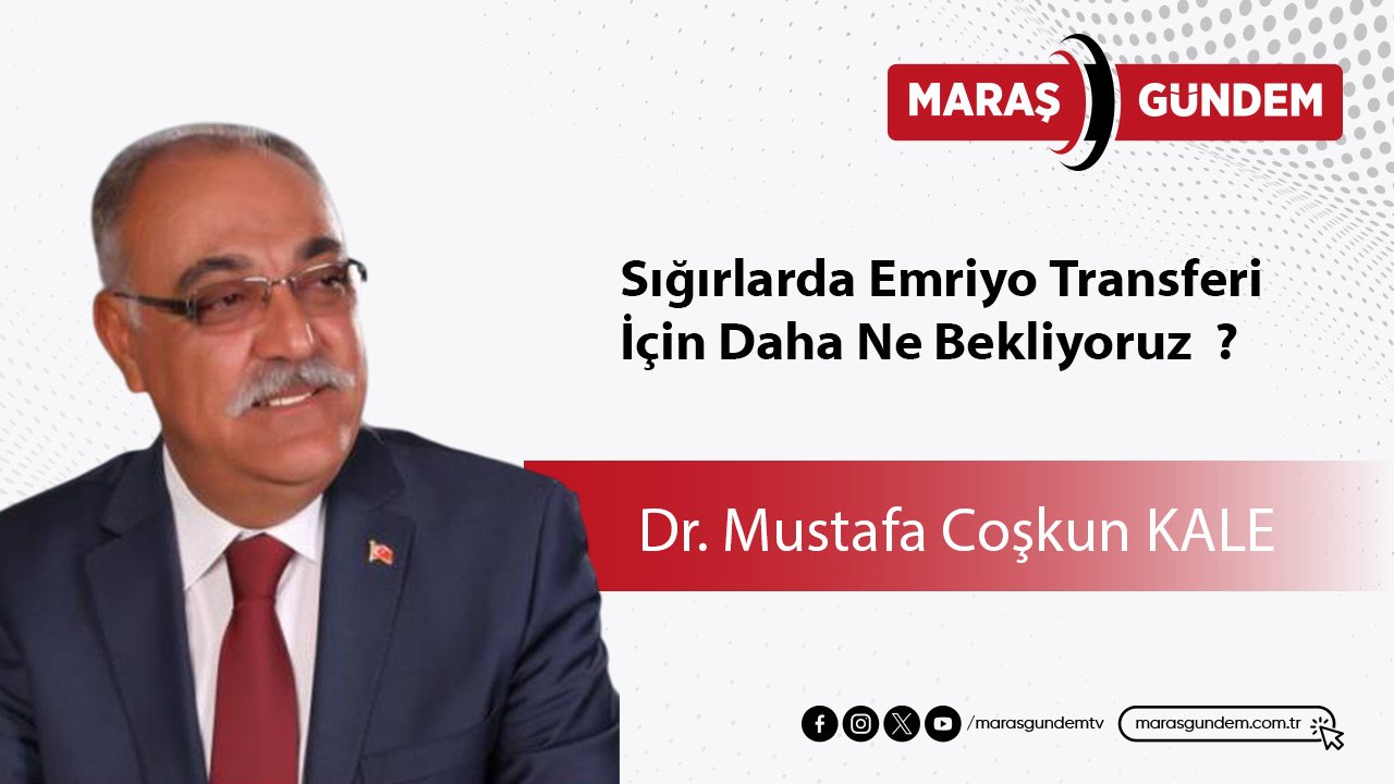 Sığırlarda Emriyo Transferi İçin Daha Ne Bekliyoruz ?