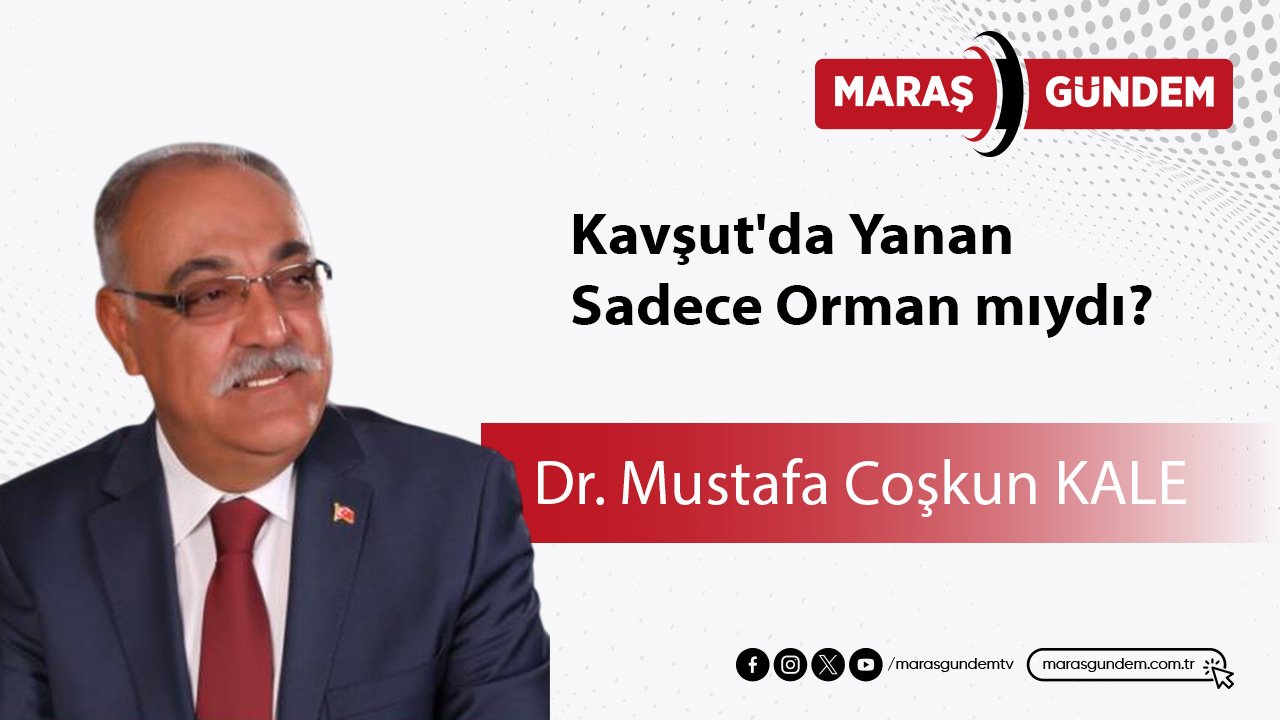 Kavşut'da Yanan Sadece Orman mıydı?