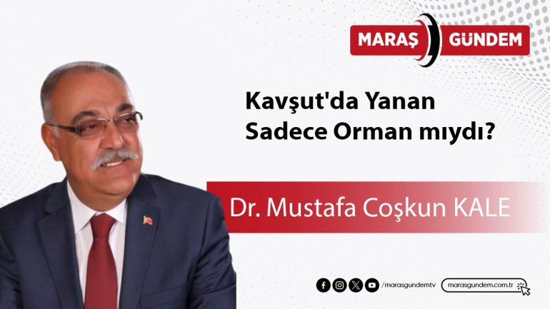 Kavşut'da Yanan Sadece Orman mıydı?