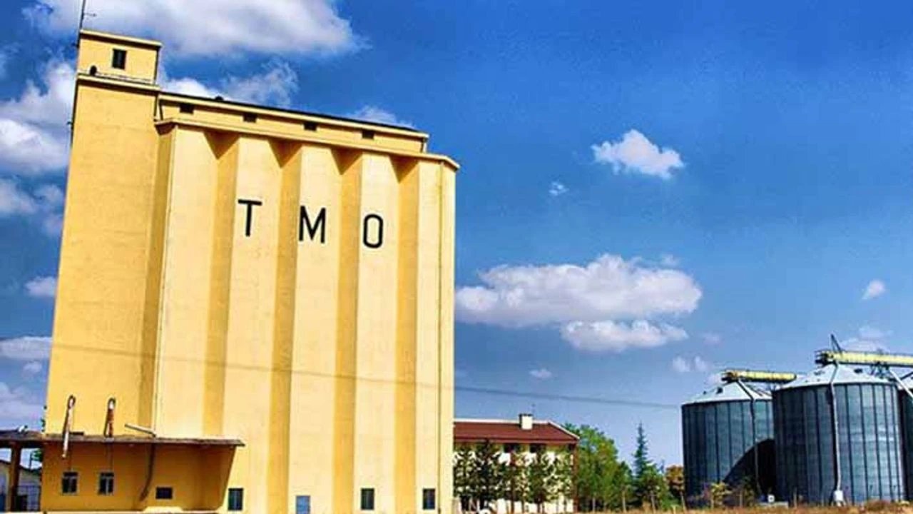 TMO Kahramanmaraş'tan Mısır Alımı İçin Randevu Duyurusu!