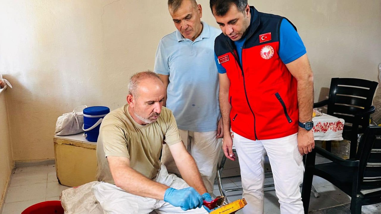 Kahramanmaraş Yaylalarında Bal Hasadı Başladı: Doğallığın ve Emeğin Tadına Yolculuk