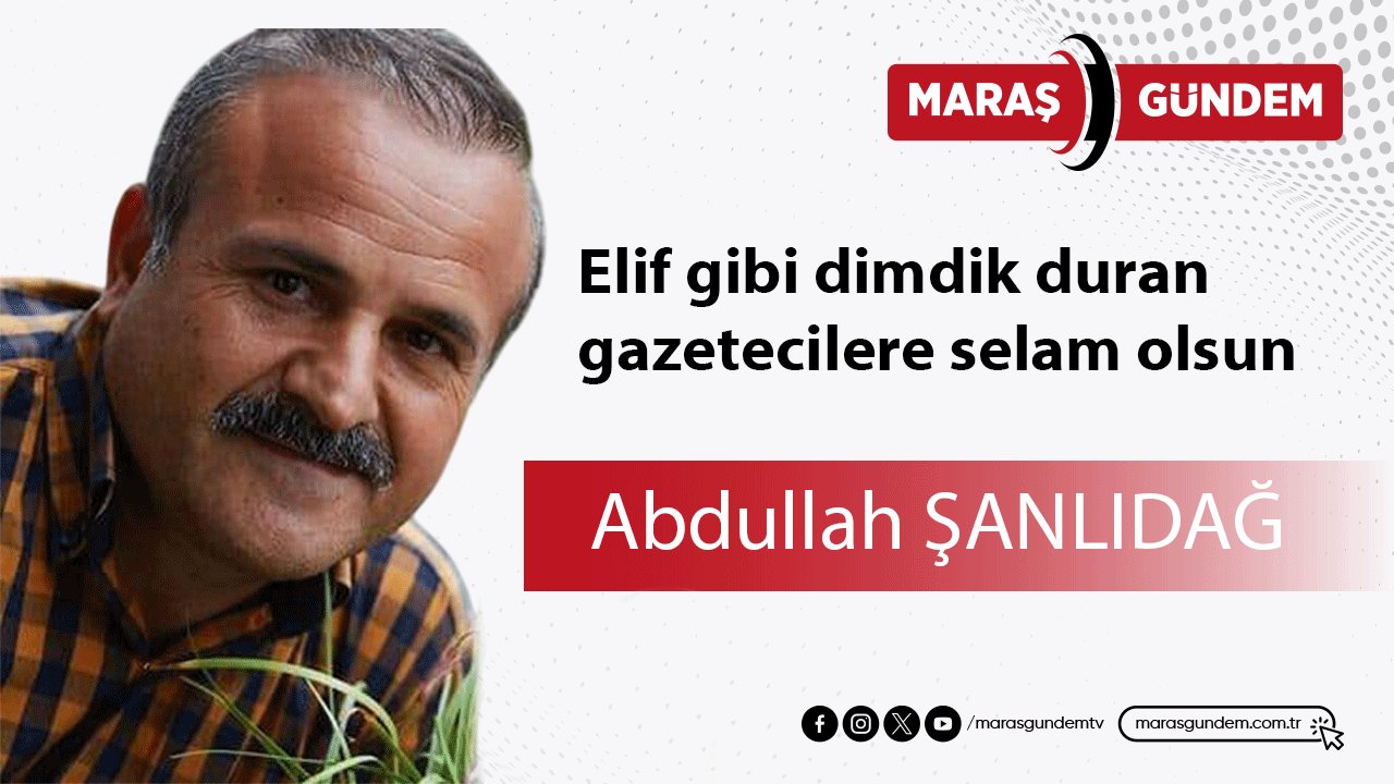 Elif gibi dimdik duran gazetecilere selam olsun