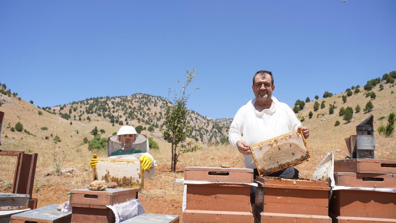 Kahramanmaraş’ta Bal Sağımı Başladı!