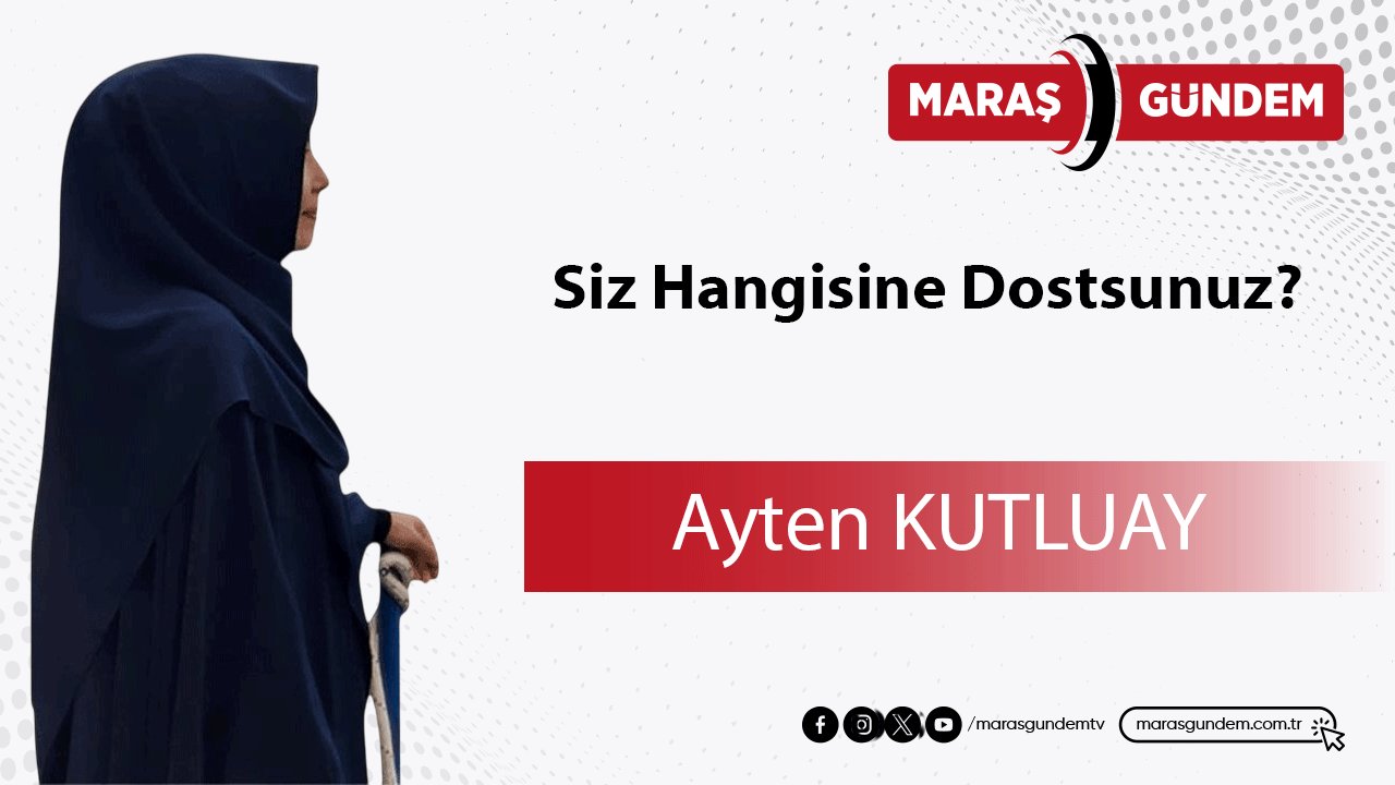 Siz Hangisine Dostsunuz?