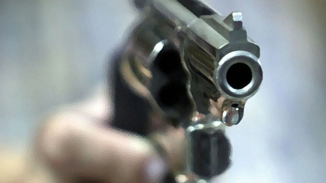 Resmi gazetede yayımlandı: Ruhsatlı silahlara dev zam