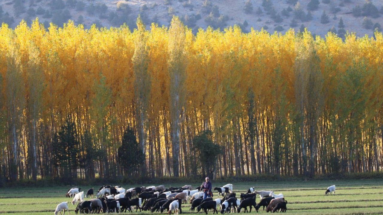 Kahramanmaraş’ta Sonbahar Cümbüşü!