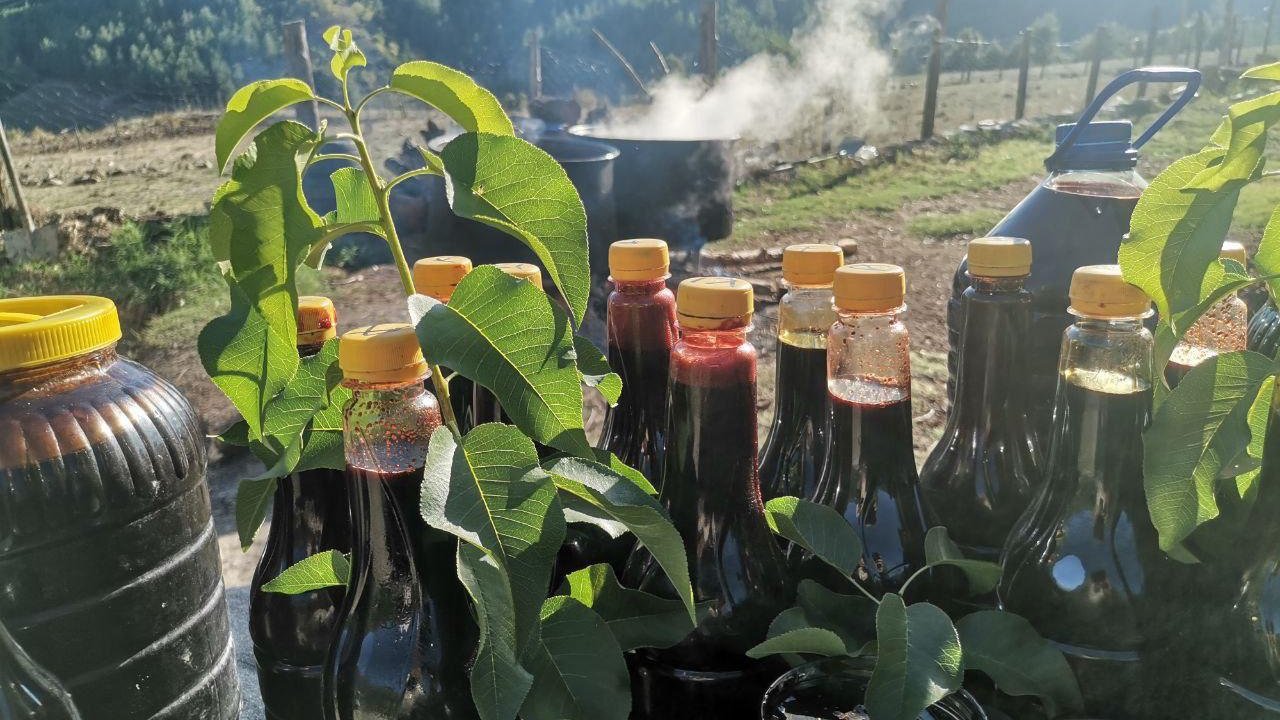 Andırın’da Tescilli Andız Pekmezi Üretimi Başladı!