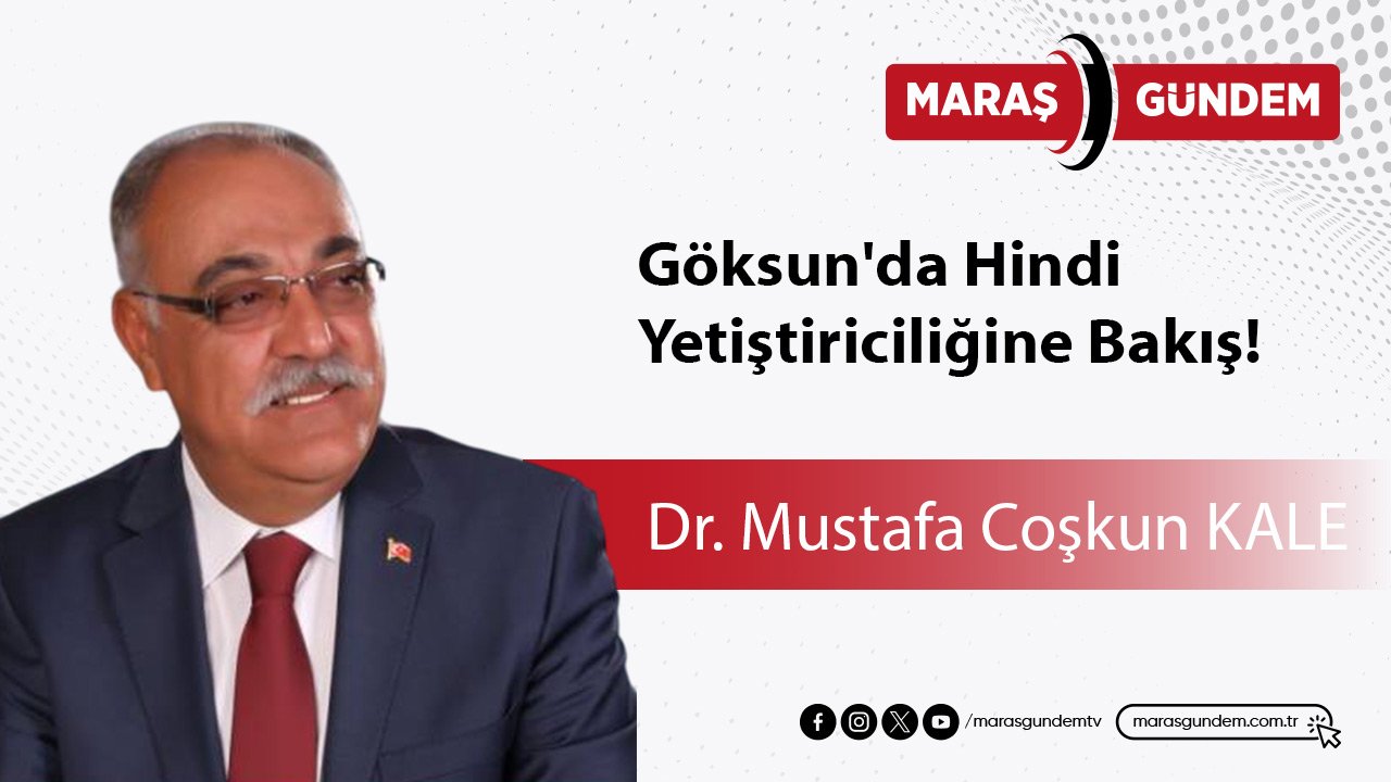 Göksun'da Hindi Yetiştiriciliğine Bakış!