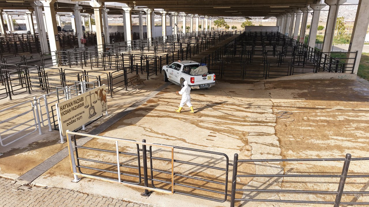 Büyükşehir’den Canlı Hayvan Pazarı’nda Halk Sağlığı İçin Kapsamlı Çalışma!