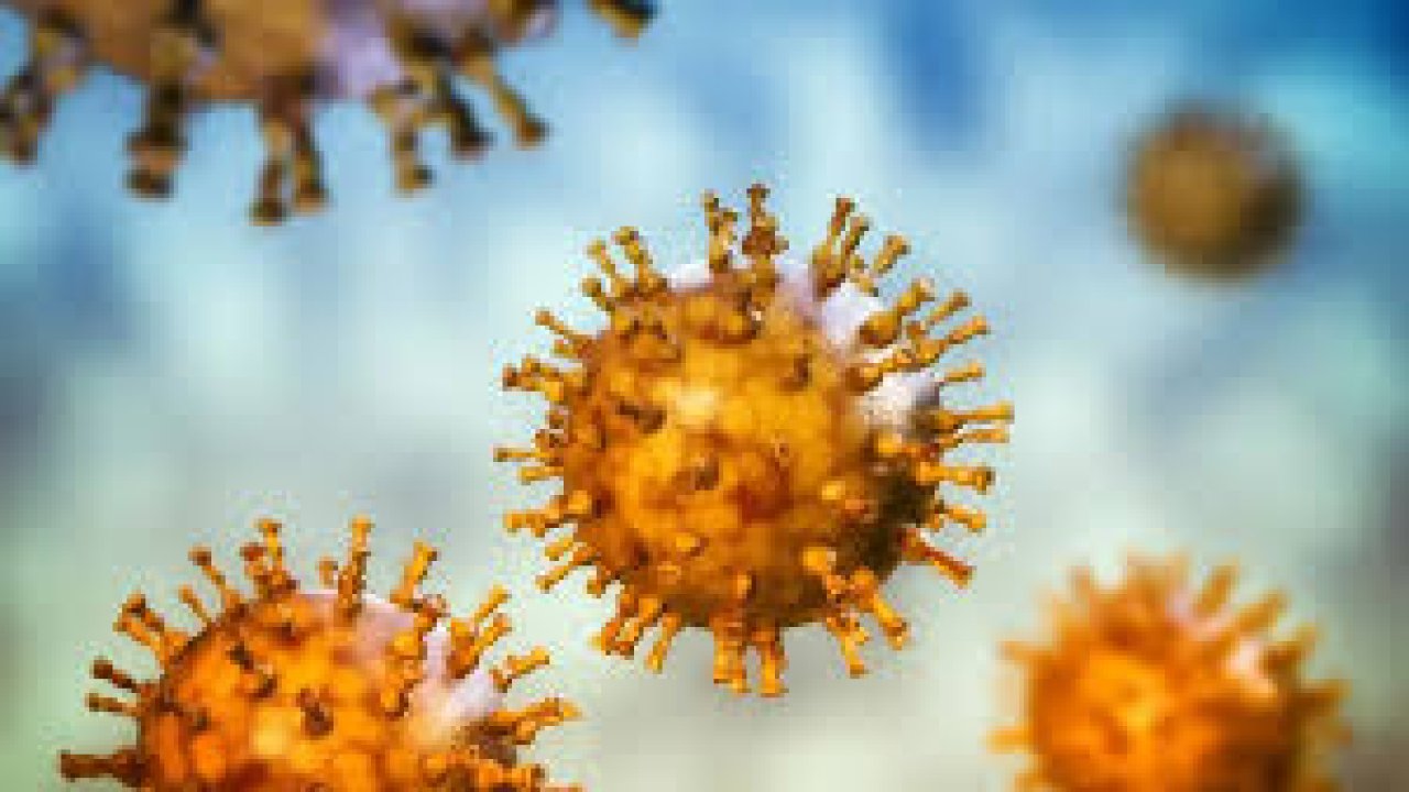 H3N2 virüsü Türkiye'de var mı? H3N2 virüsü nedir, belirtileri nelerdir?