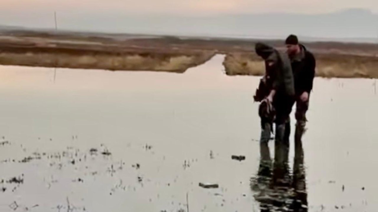 Kahramanmaraş’ta Kaçak Avcılara Geçit Yok! 5 Kişiye Cezai İşlem