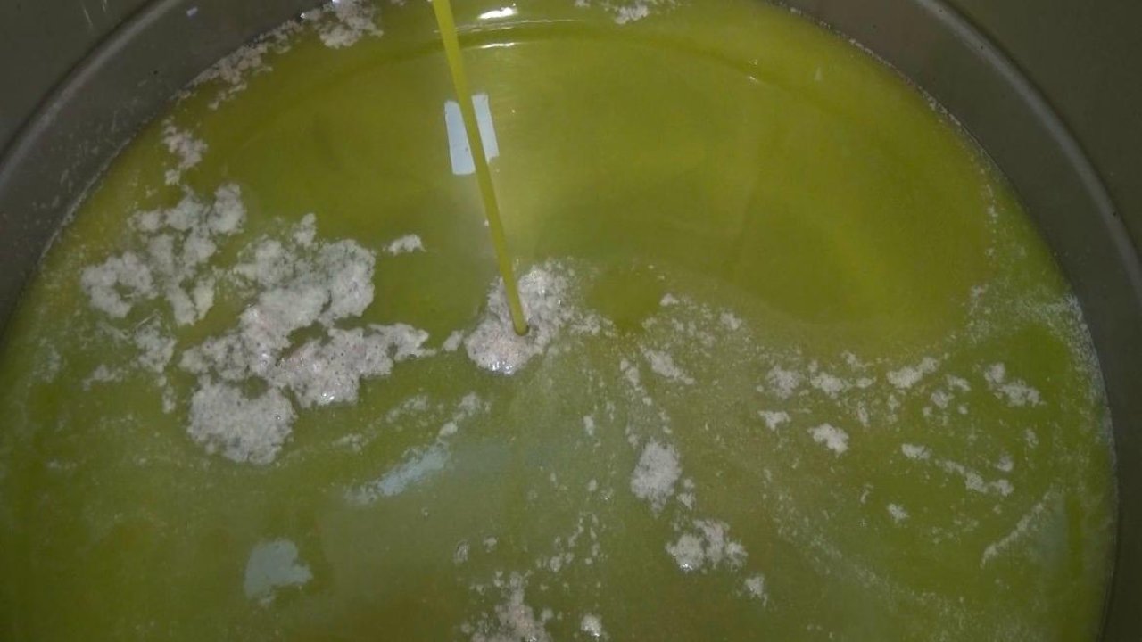 Kahramanmaraş’ta 5 Bin Ton Sızma Zeytinyağı Üretildi!