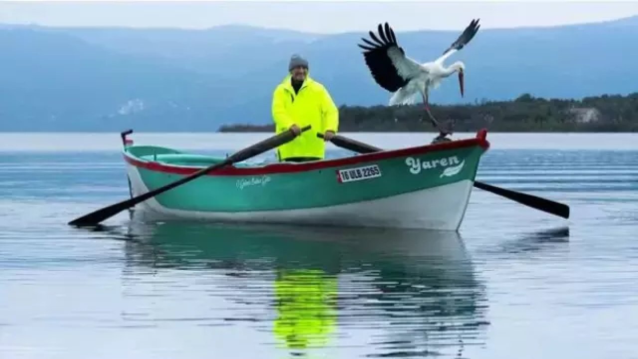 Yaren Leylek ile Adem Amca’nın hikâyesi nedir? Yaren leylek geldi mi?