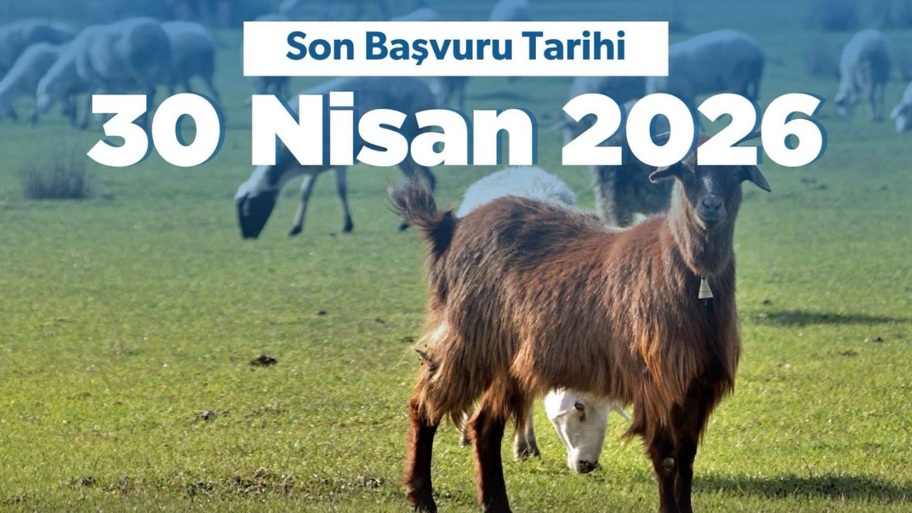 Kahramanmaraş’ta “Kırsalda Bereket Küçükbaşa Destek Projesi” başvuruları açıldı