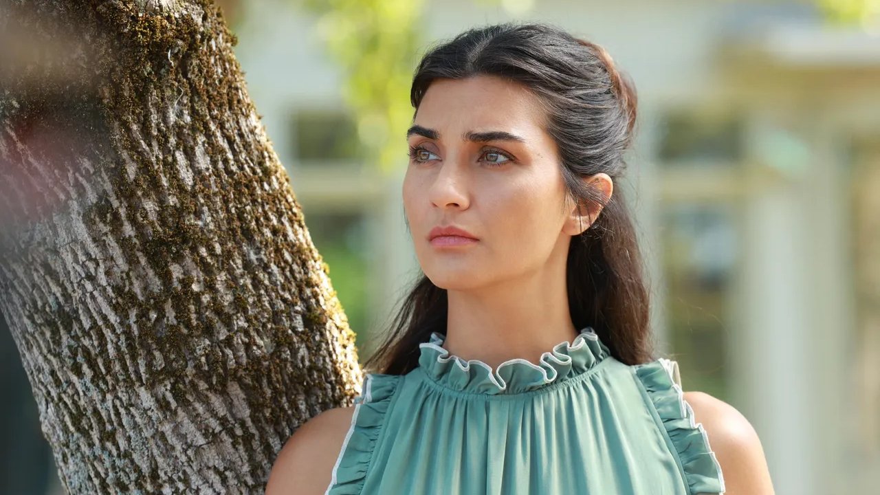 Zeytin Ağacı 3. Sezon Ne Zaman Başlıyor? İşte Yeni Oyuncular ve Yayın Tarihi