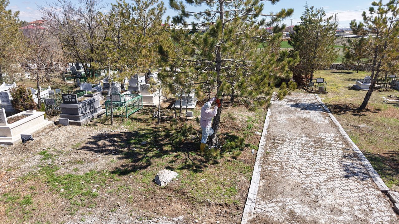Büyükşehir, Mezarlıklarda Kapsamlı Yenileme Başlattı!