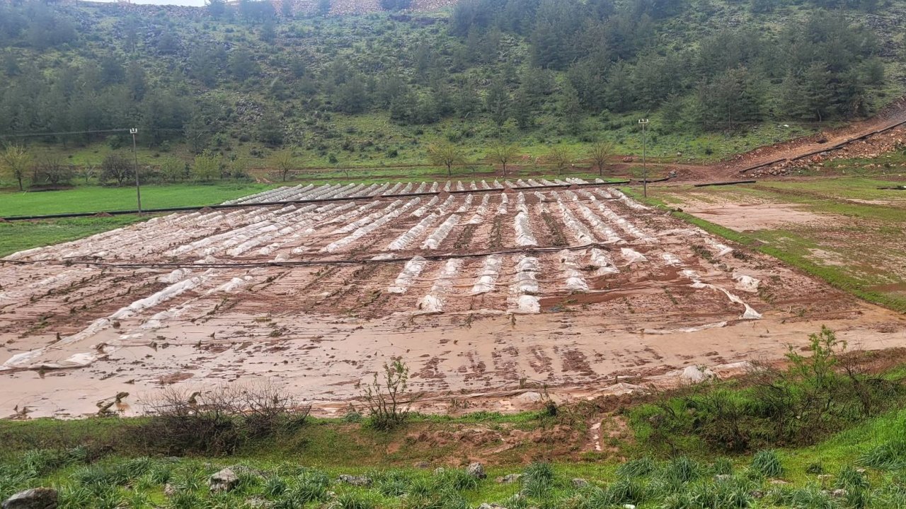 Kahramanmaraş’ta Tarım Arazilerini Dolu ve Sel Vurdu: Hasar Tespiti Başladı