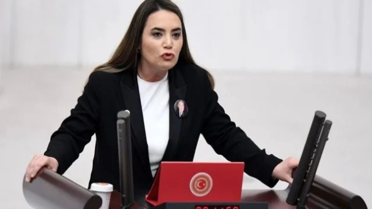 Ayyüce Türkeş kimdir? İYİ Partili milletvekilinin hayatı ve siyasi kariyeri