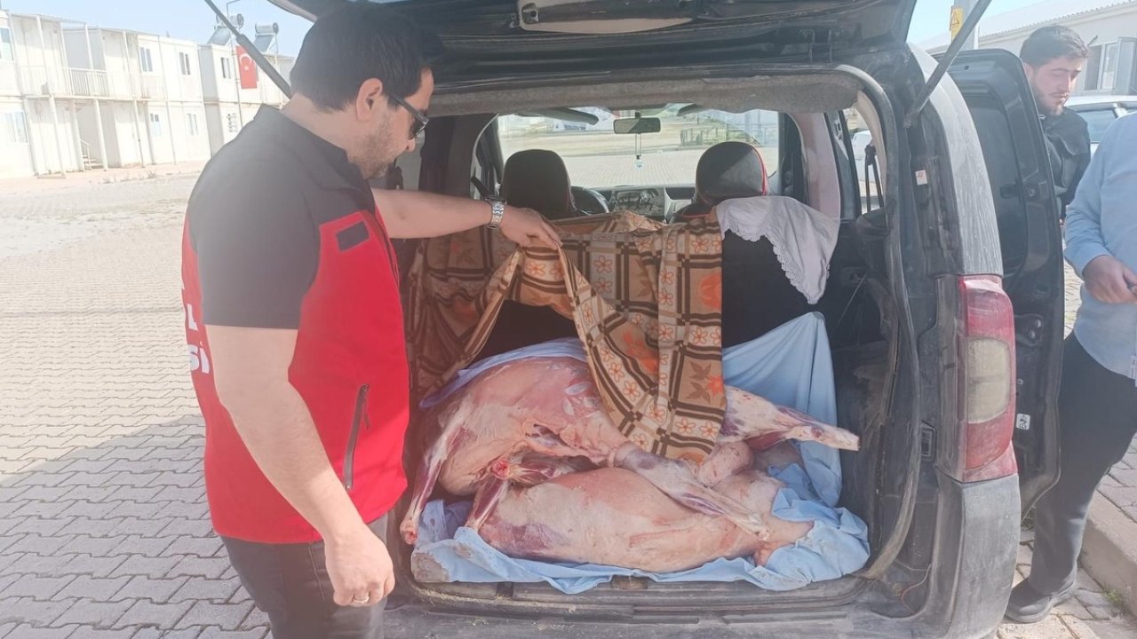 Kahramanmaraş’ta Denetimlerde Ele Geçirilen Karkas Et İmha Edildi