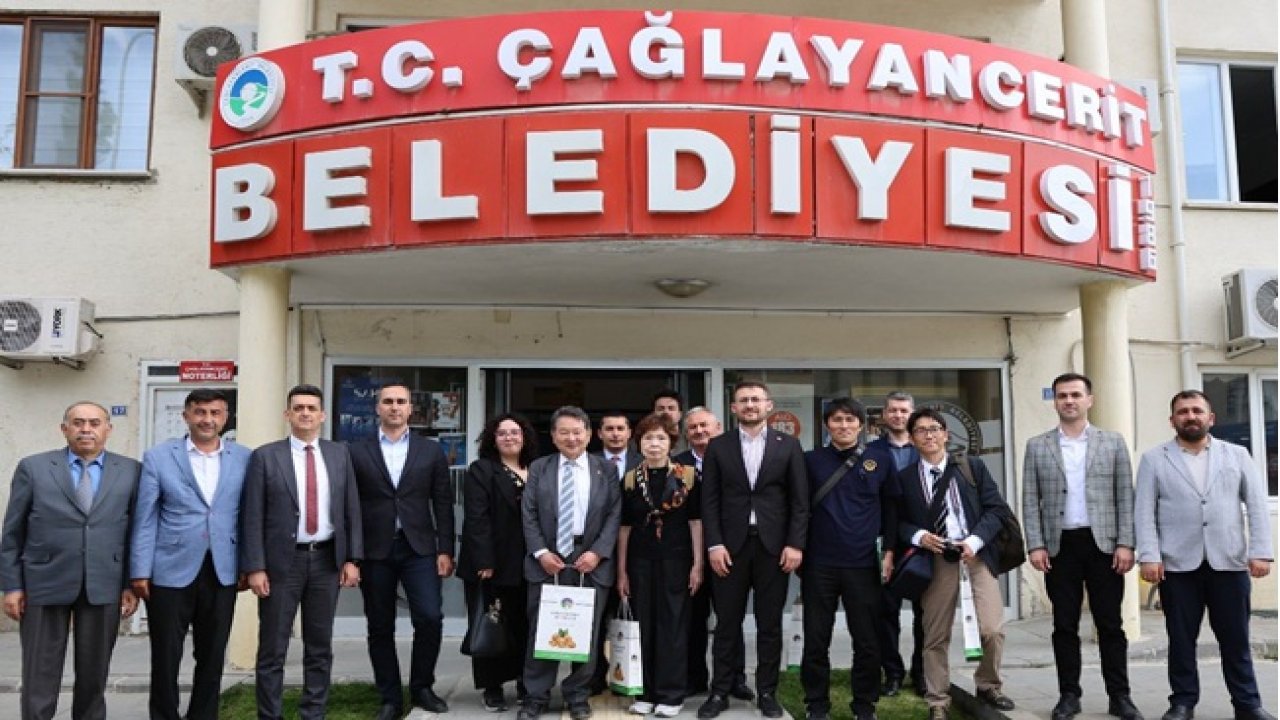 Kahramanmaraş’ta Ceviz Diplomasisi: Japon Heyeti Çağlayancerit’in Lezzetine Hayran Kaldı!