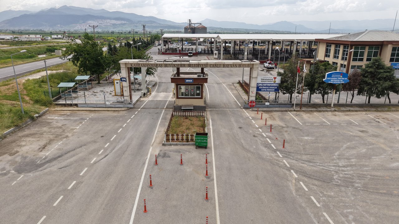 Kahramanmaraş’ta Canlı Hayvan Borsası’na ücretsiz seferler başlıyor!