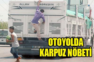 Otoyolda karpuz nöbeti