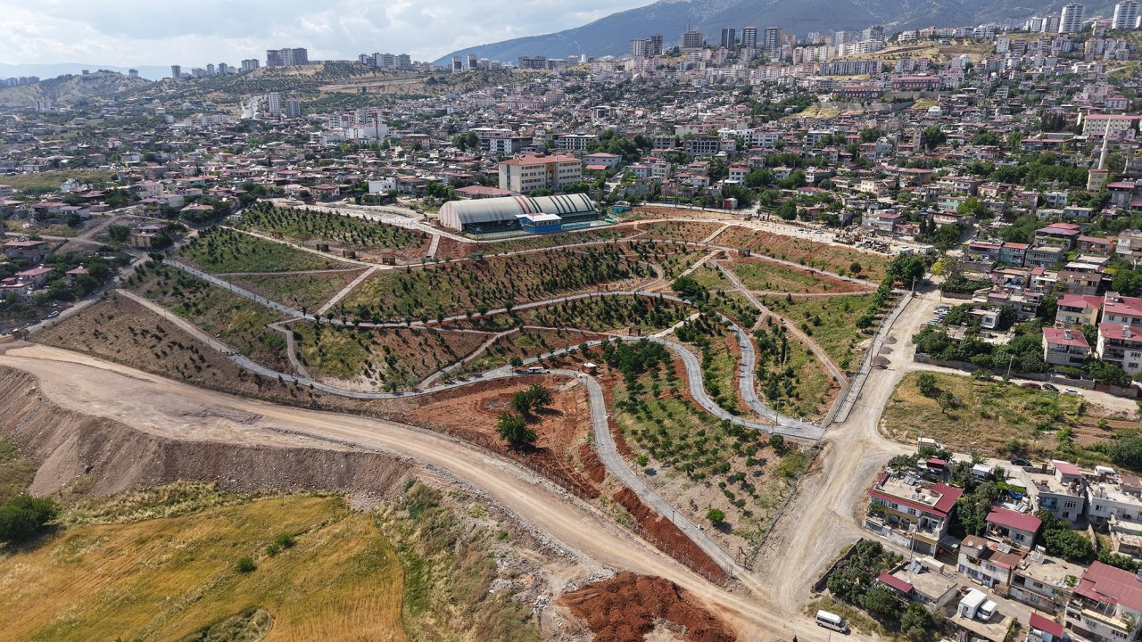 Büyükşehir’in ‘Yeşil Dönüşüm’ Hamlesi Karbon Yutak Alanı’nda Çalışmalar Sürüyor