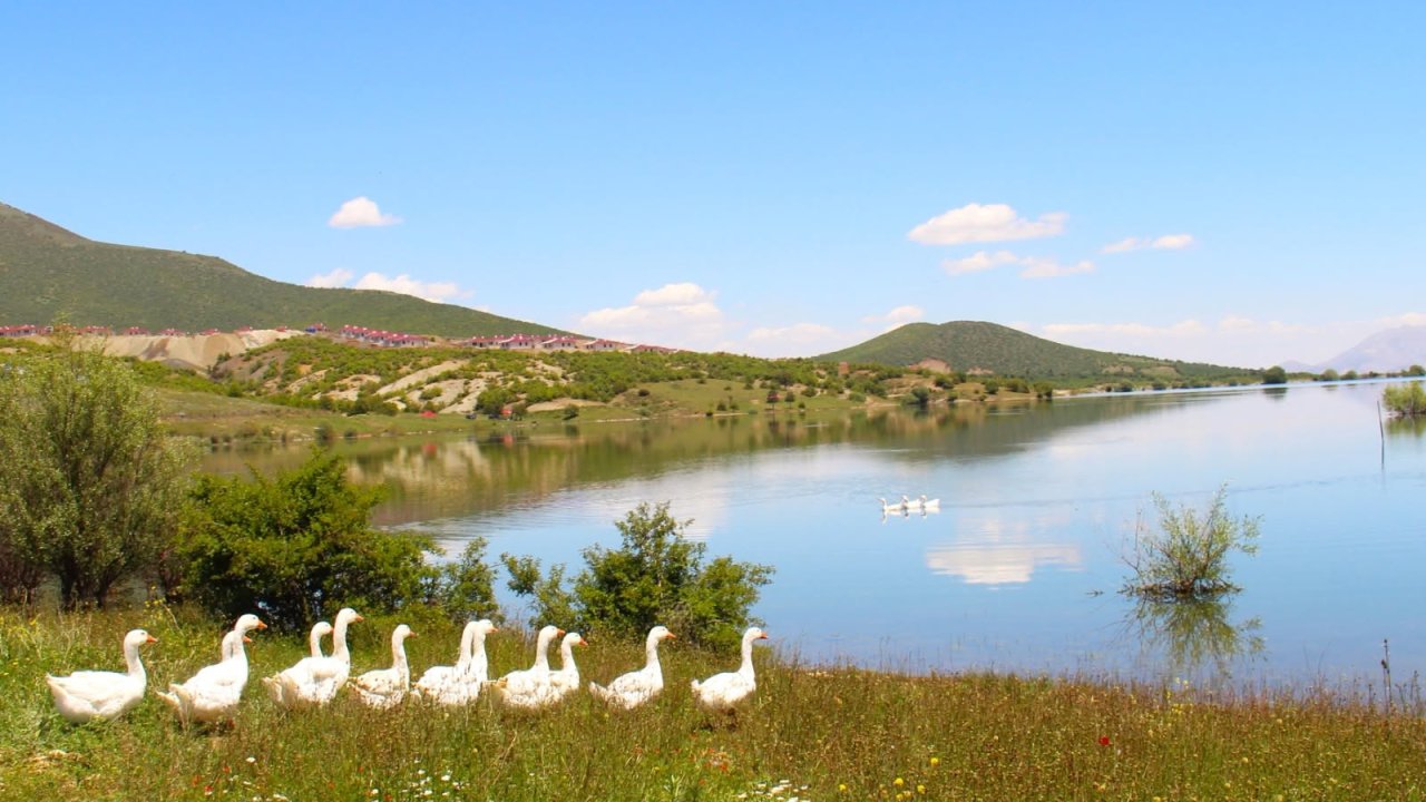 Kahramanmaraş’ta Doğa ve Yaban Hayatı Bir Arada: Çardak Göleti’nden Kartpostallık Kareler